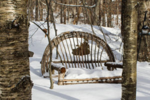 a twig chair in the snow in Vermont